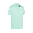 Kép 1/2 - Callaway solid polo Neptune Green