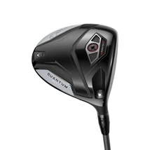 Quantum Max D